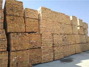 建筑之窗 建材選擇與門窗設(shè)計(jì)的藝術(shù)與科技